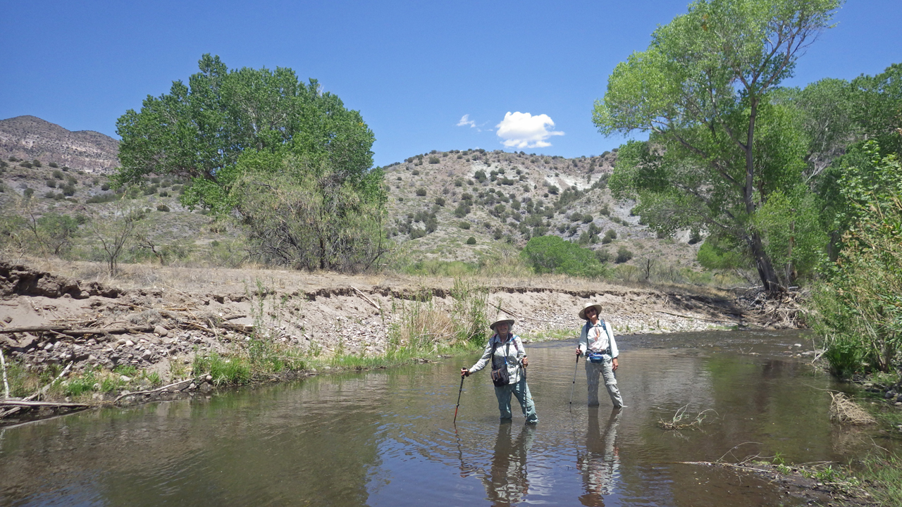 ladies in wading