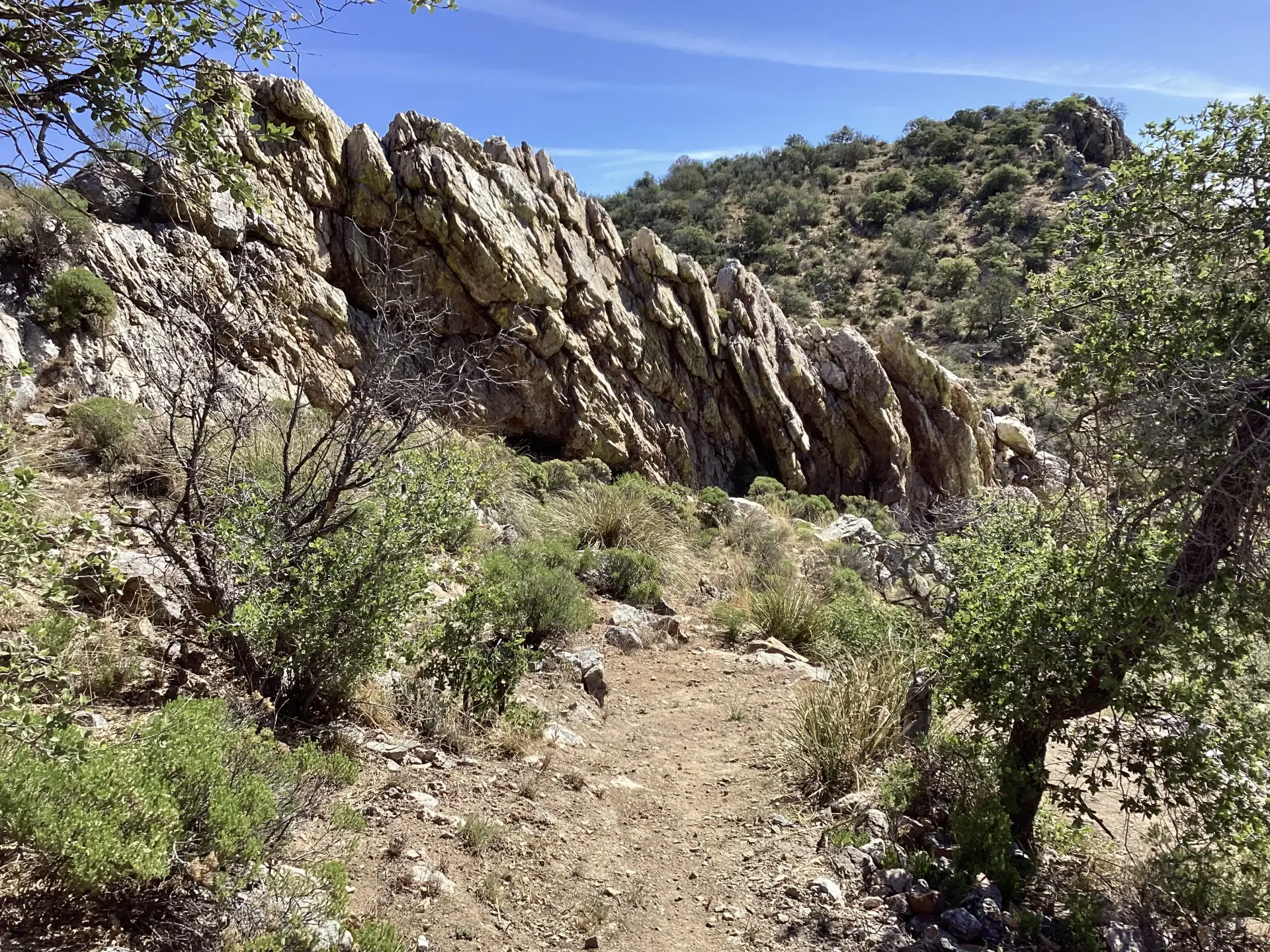 Neglected Mine Trail