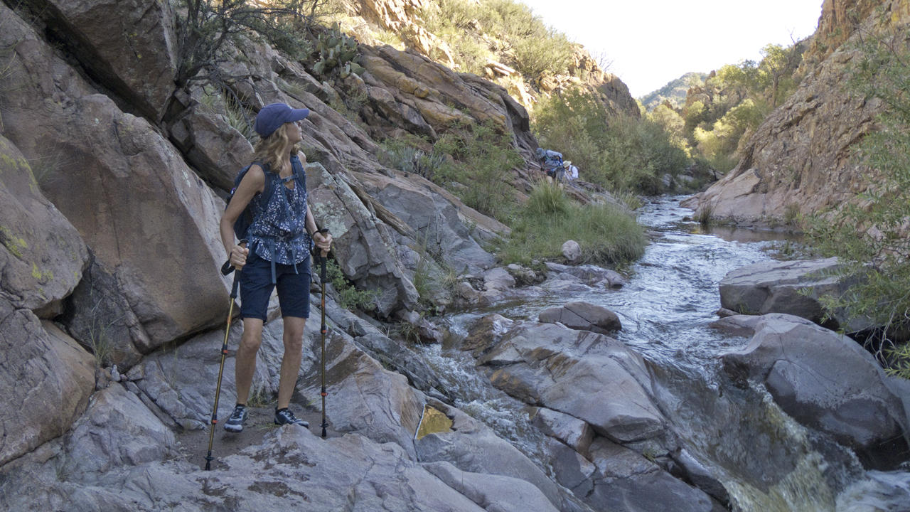 looking back at the narrows