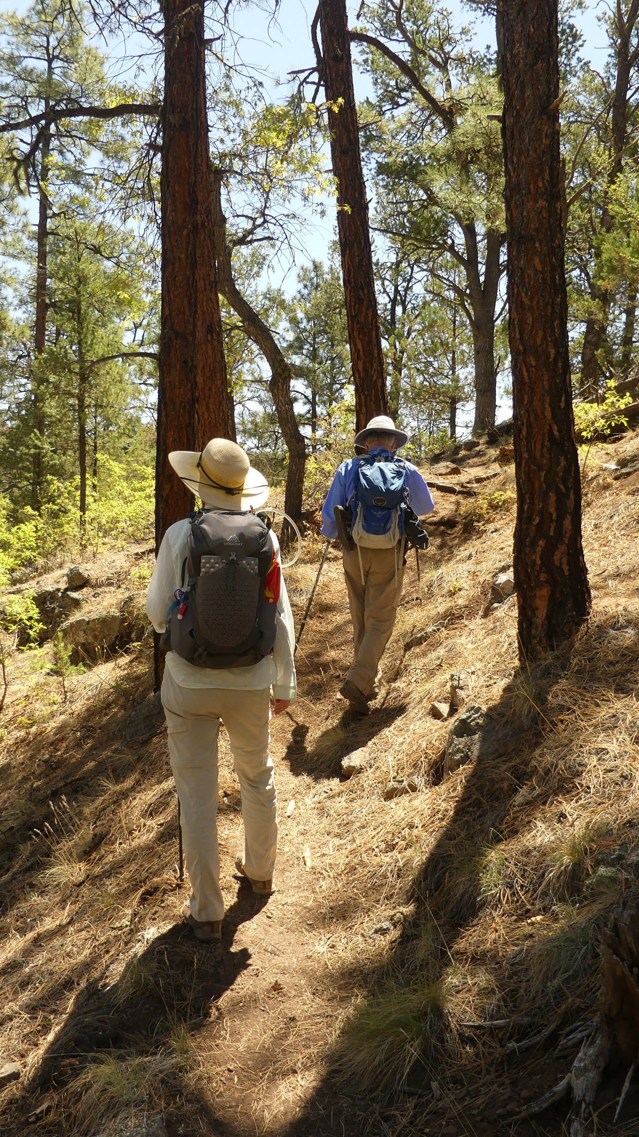 Mimbres River Trail #77