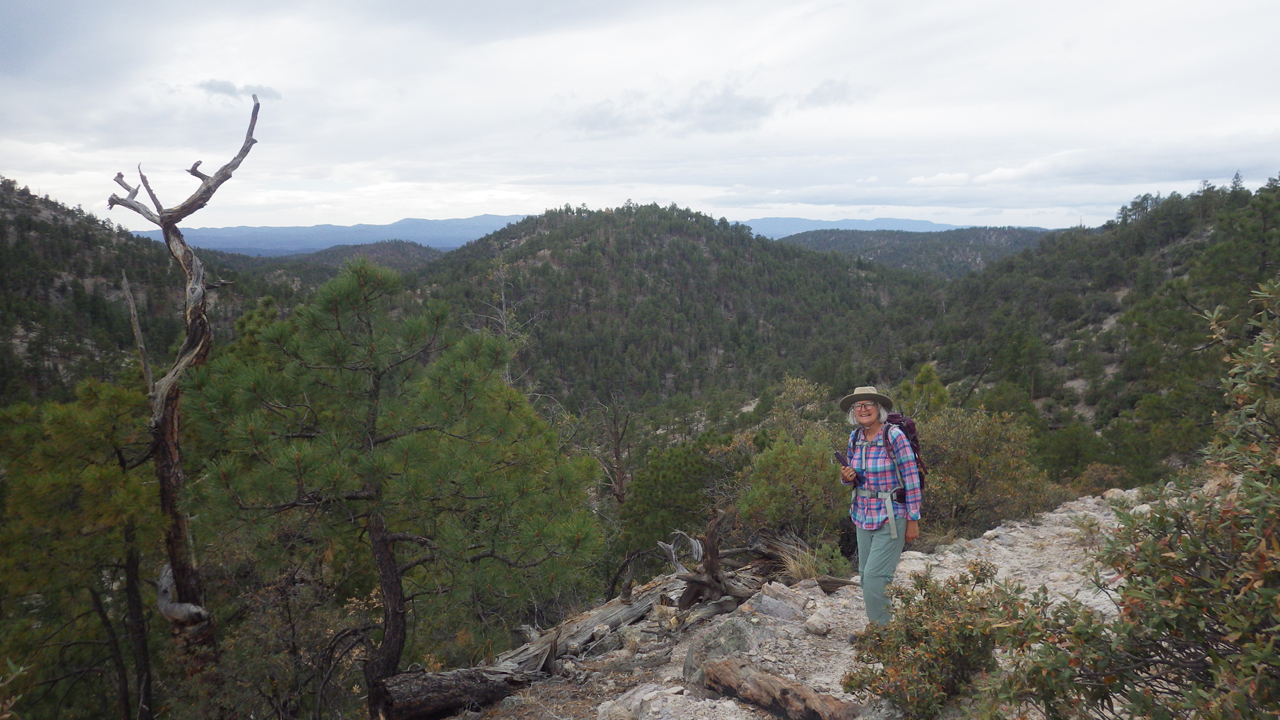 trail to Rocky Point