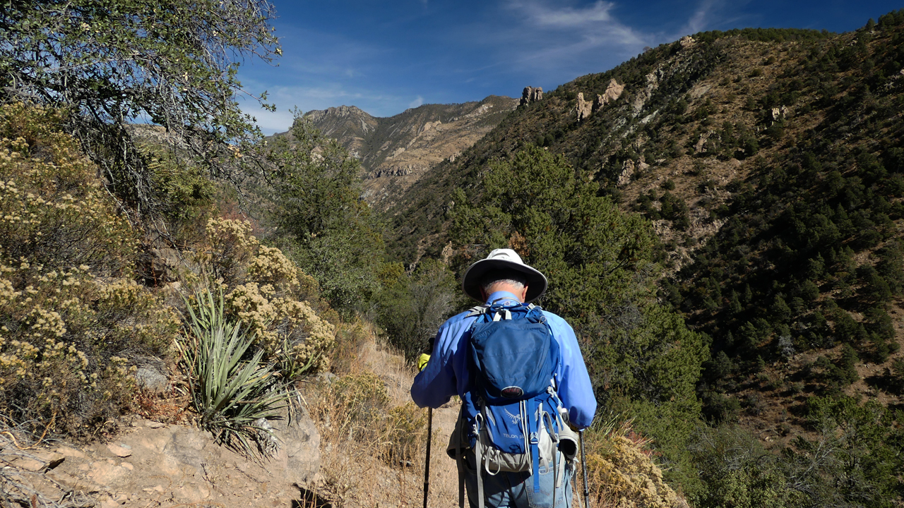 view of Mogollon Mountains dropping into Rain Creek