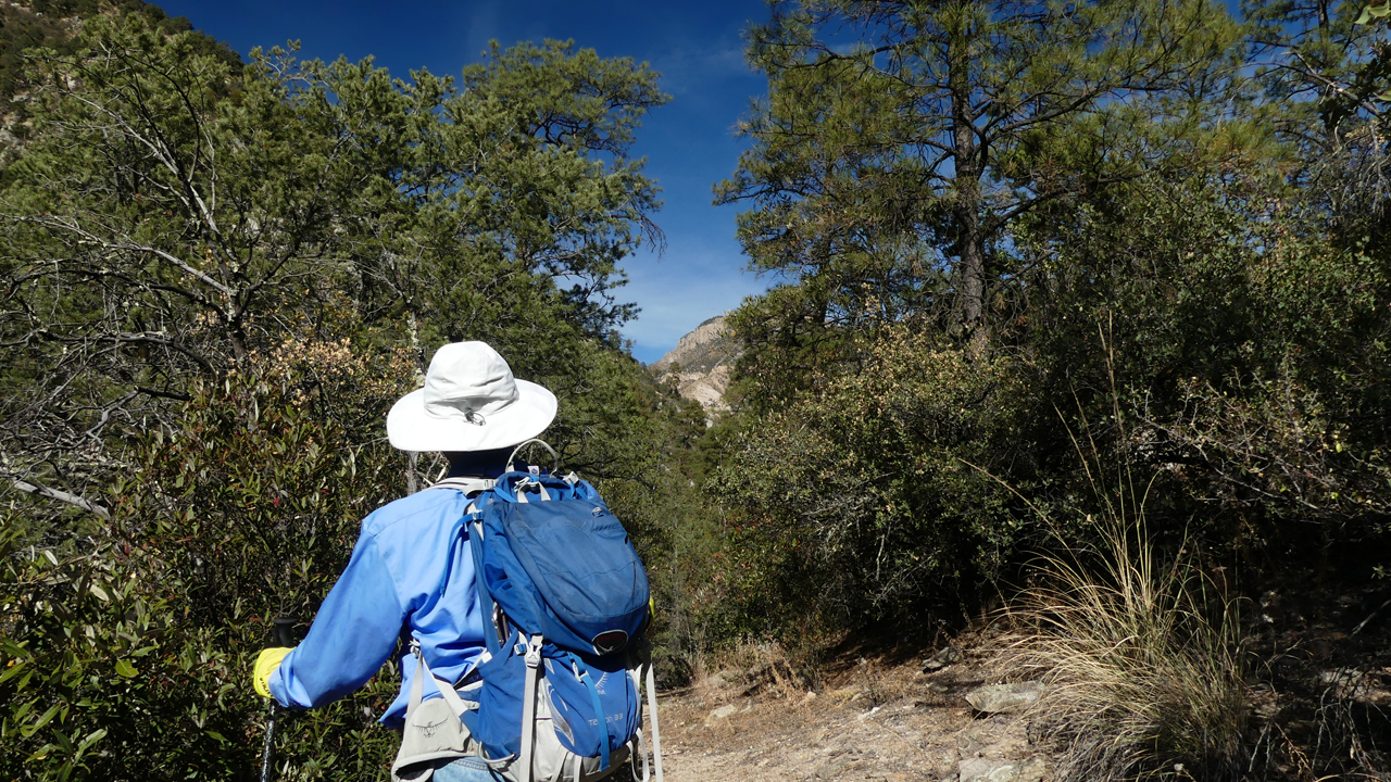 view of distant peaks from Rain Creek