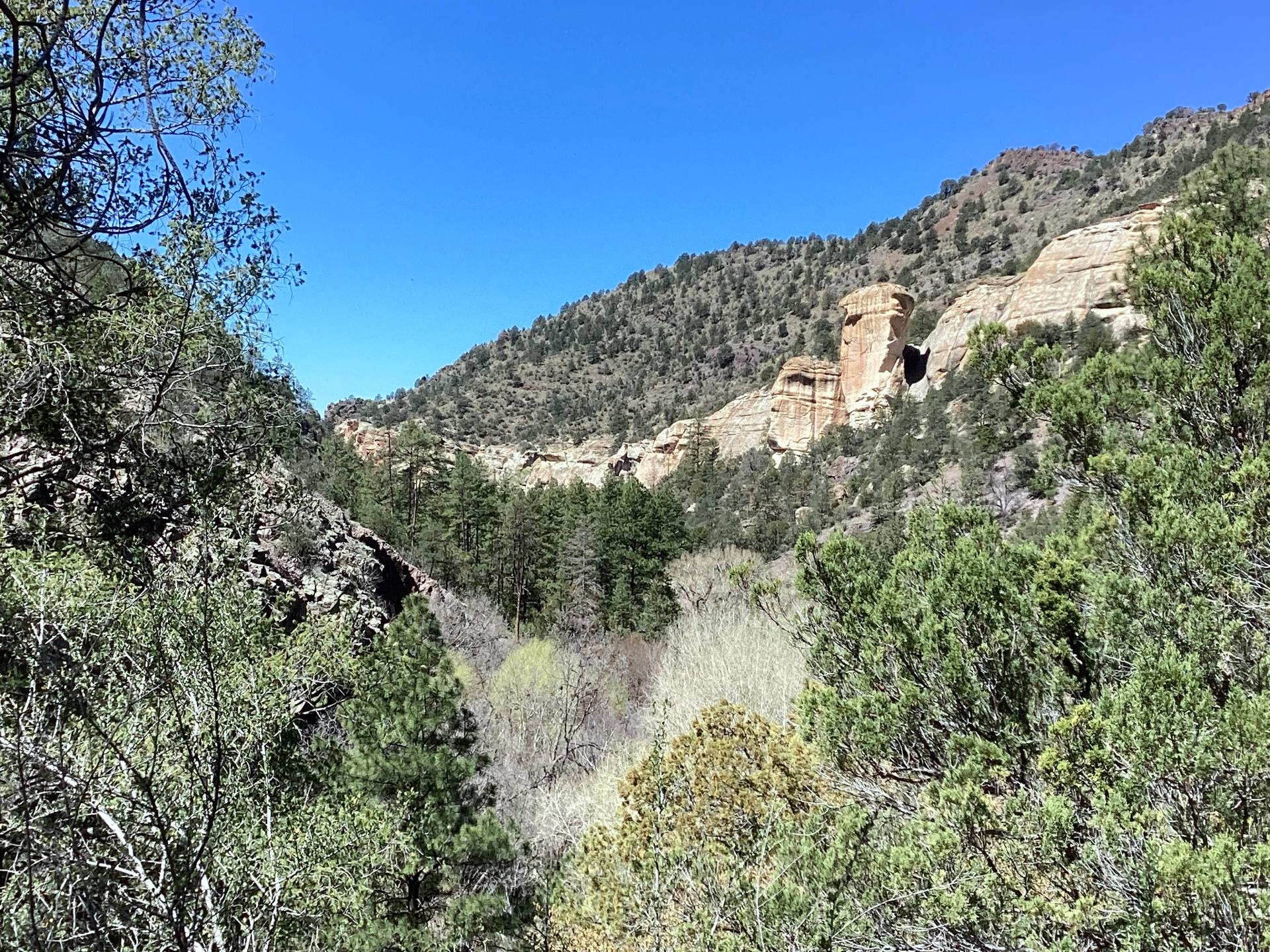 rock tower above Mineral Creek