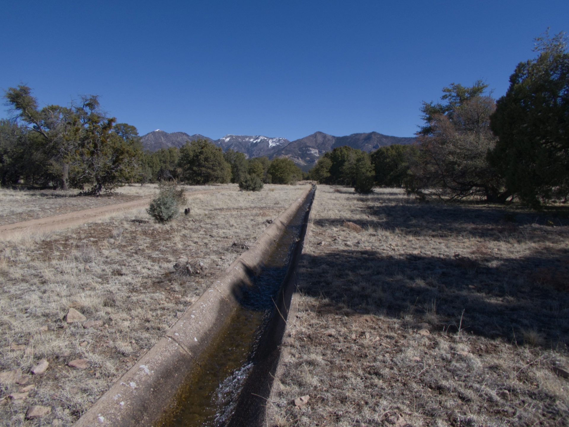 overflowing acequia