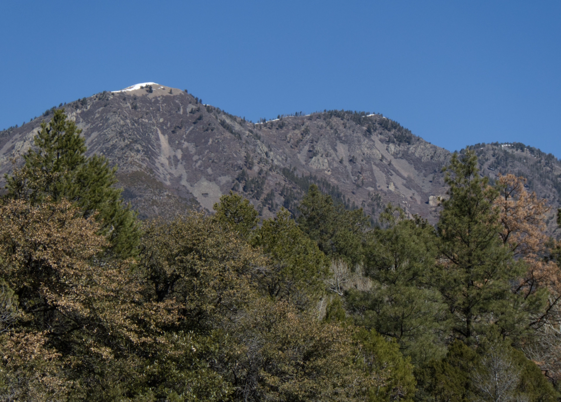 Mogollon Mountains from Sacaton Creek