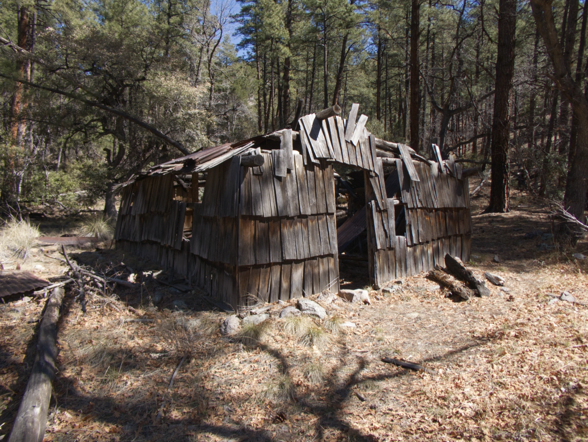 cedar shake cabin