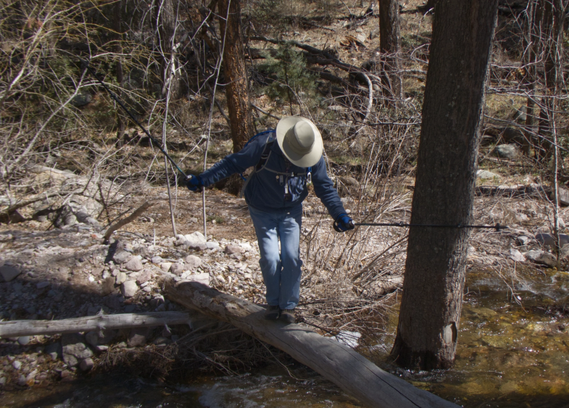 crossing creek on a log