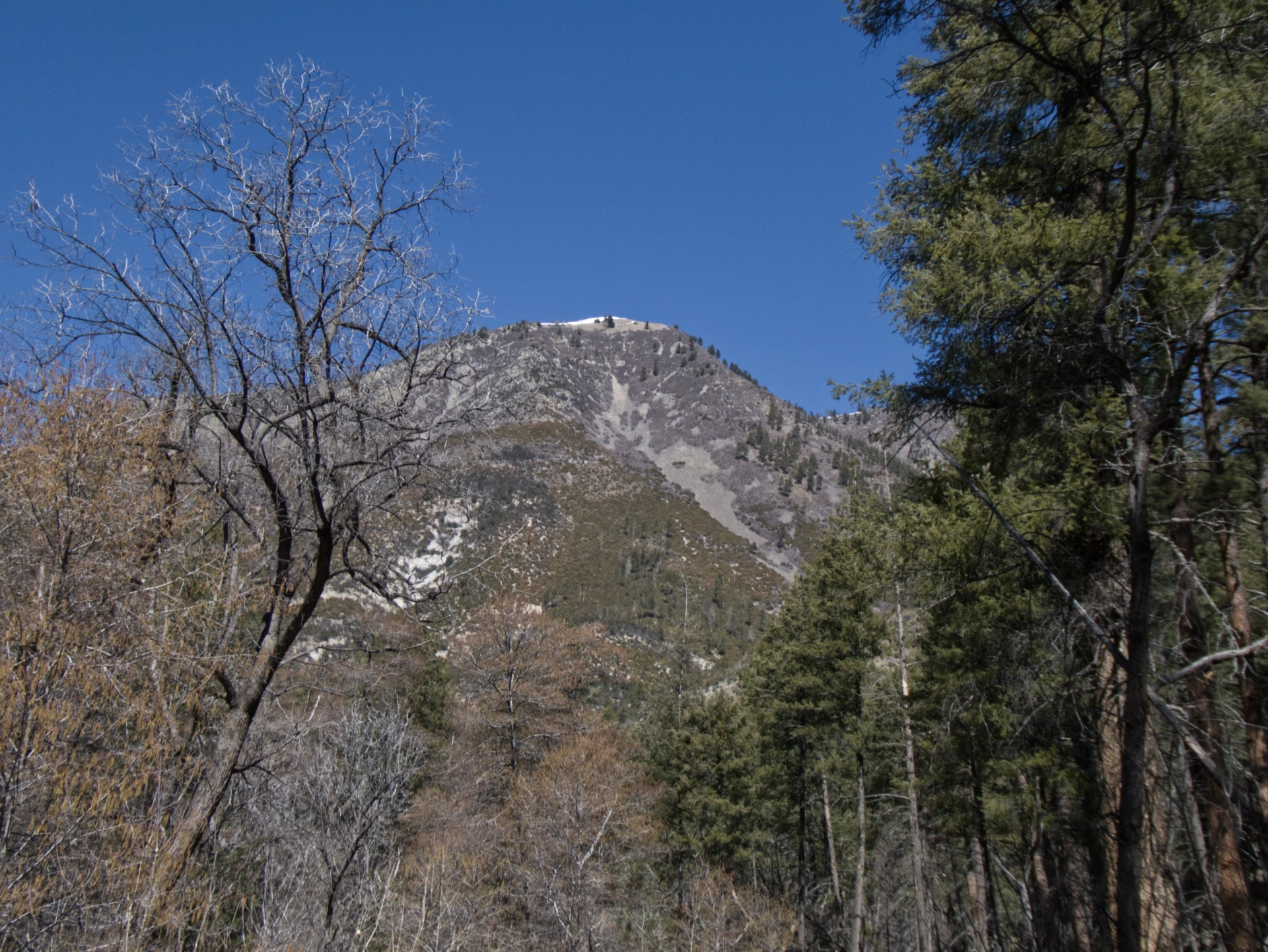 West Baldy close-up