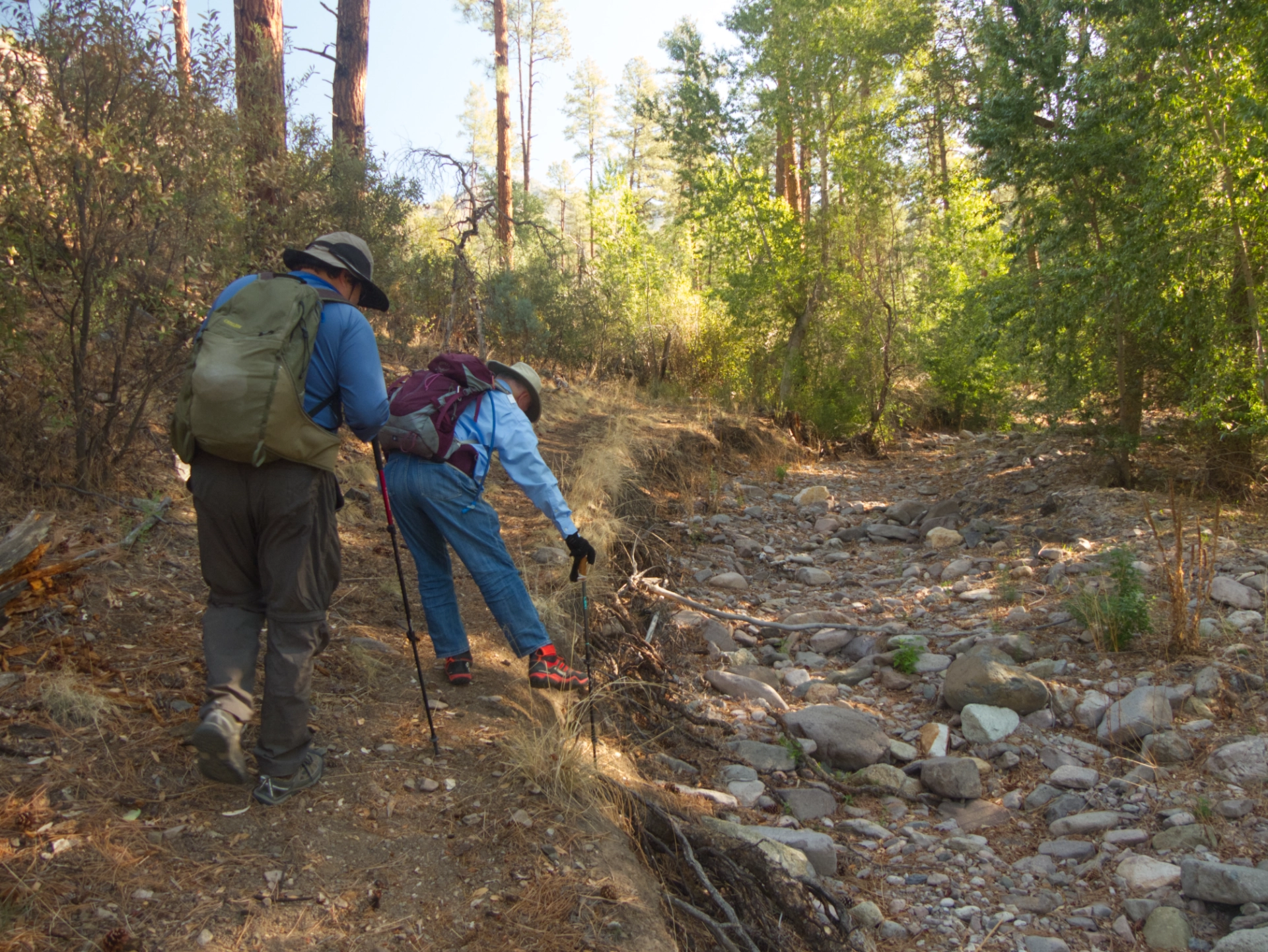 dry streambed