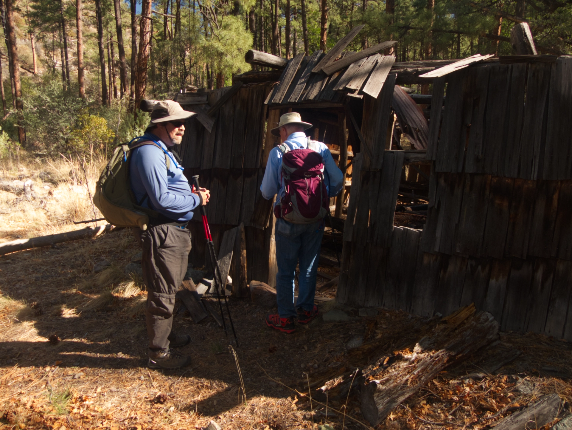 old cabin, 2025