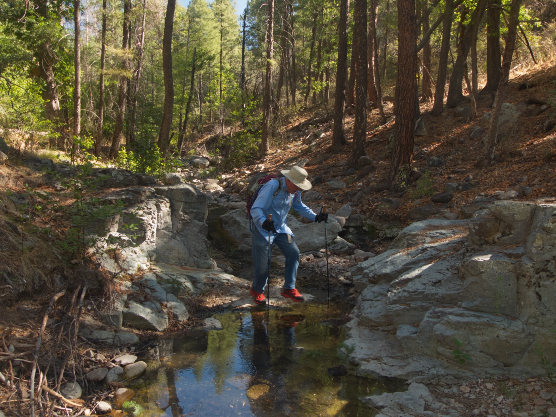small puddle of water on the trail