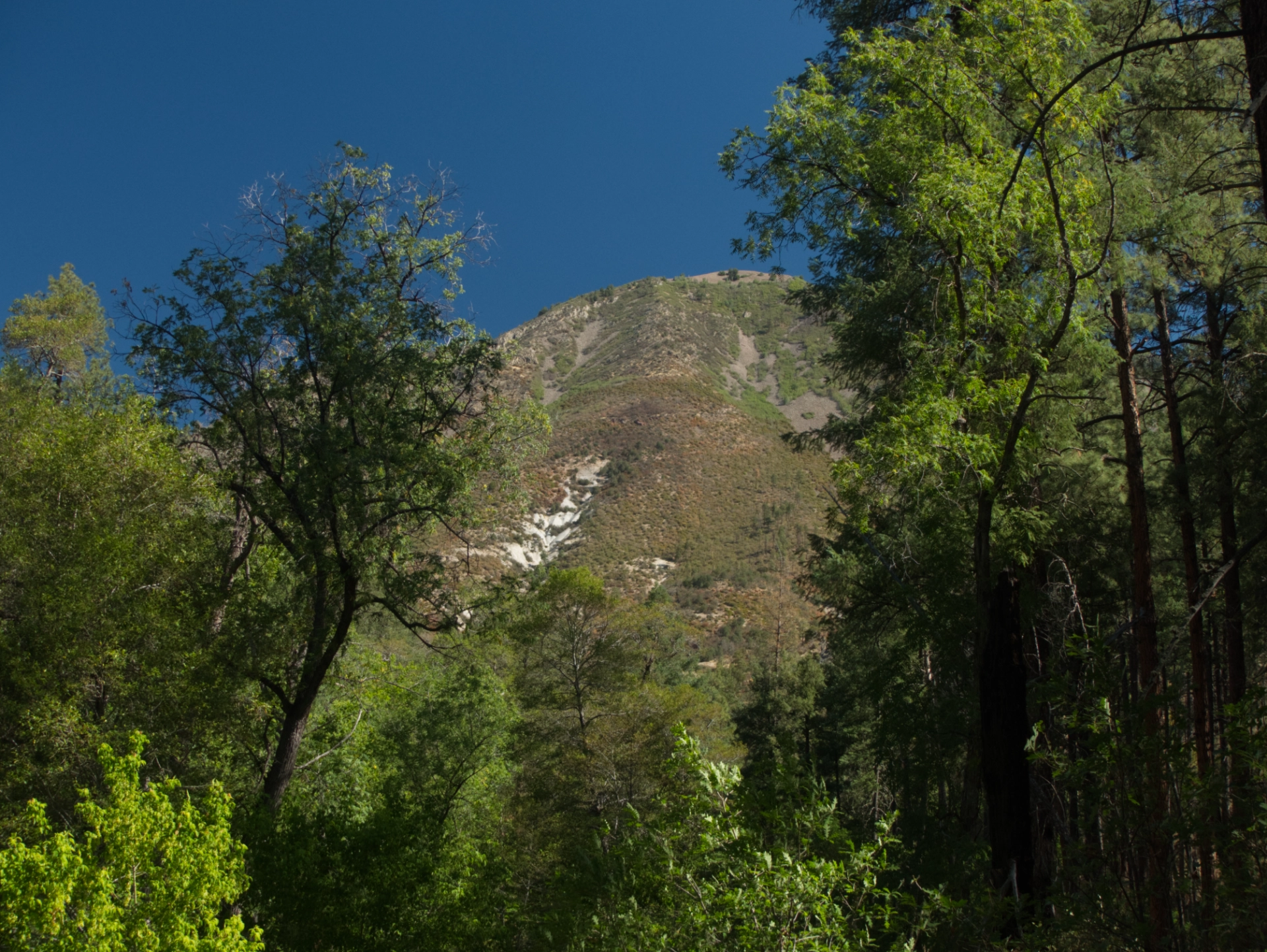 West Baldy summit