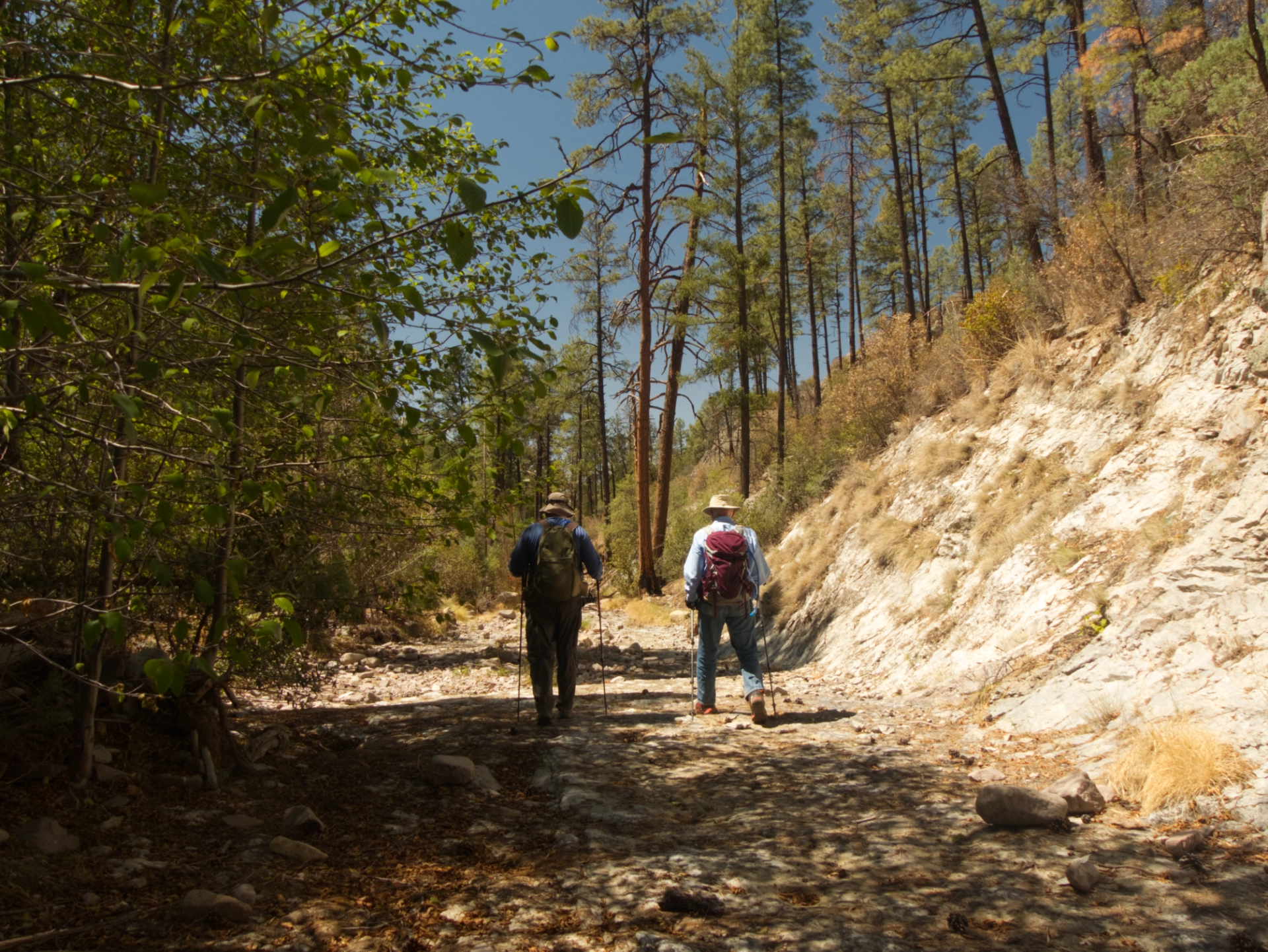 hikes in a dry streambed