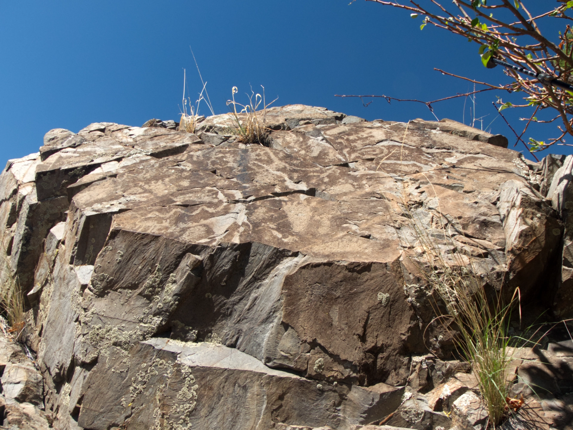 petroglyphs atop a large rock