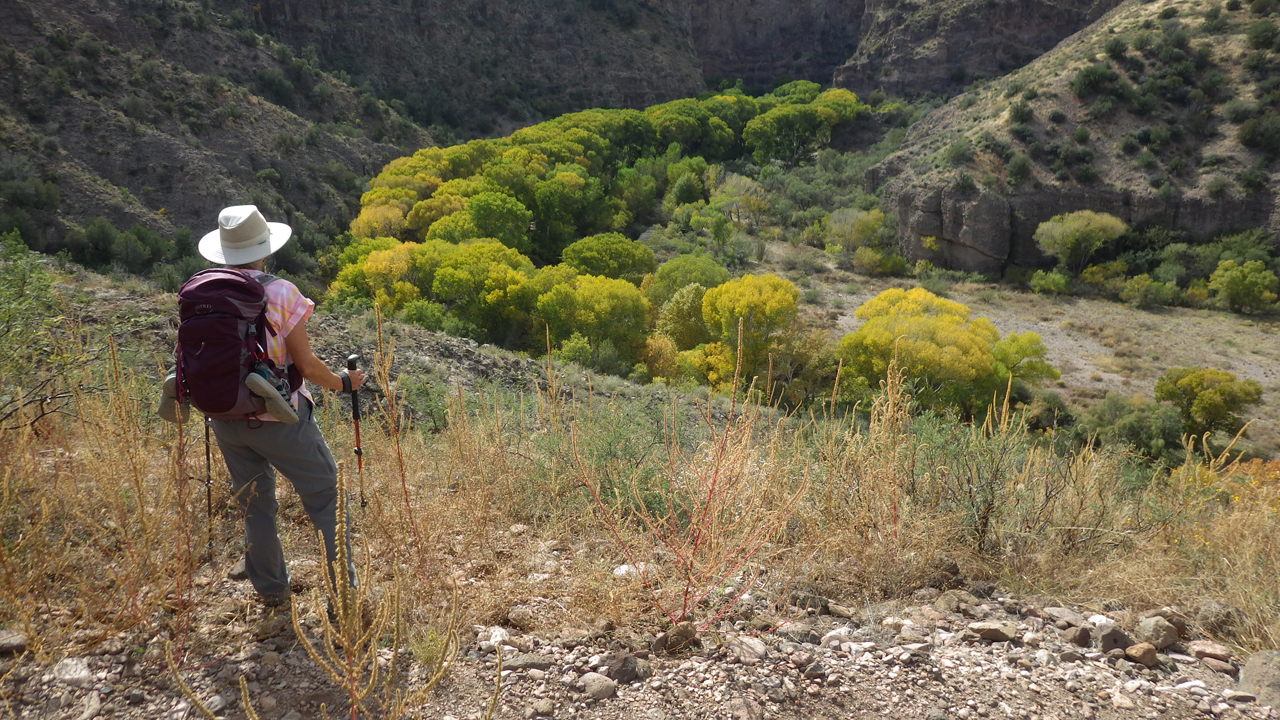 descending into the canyon