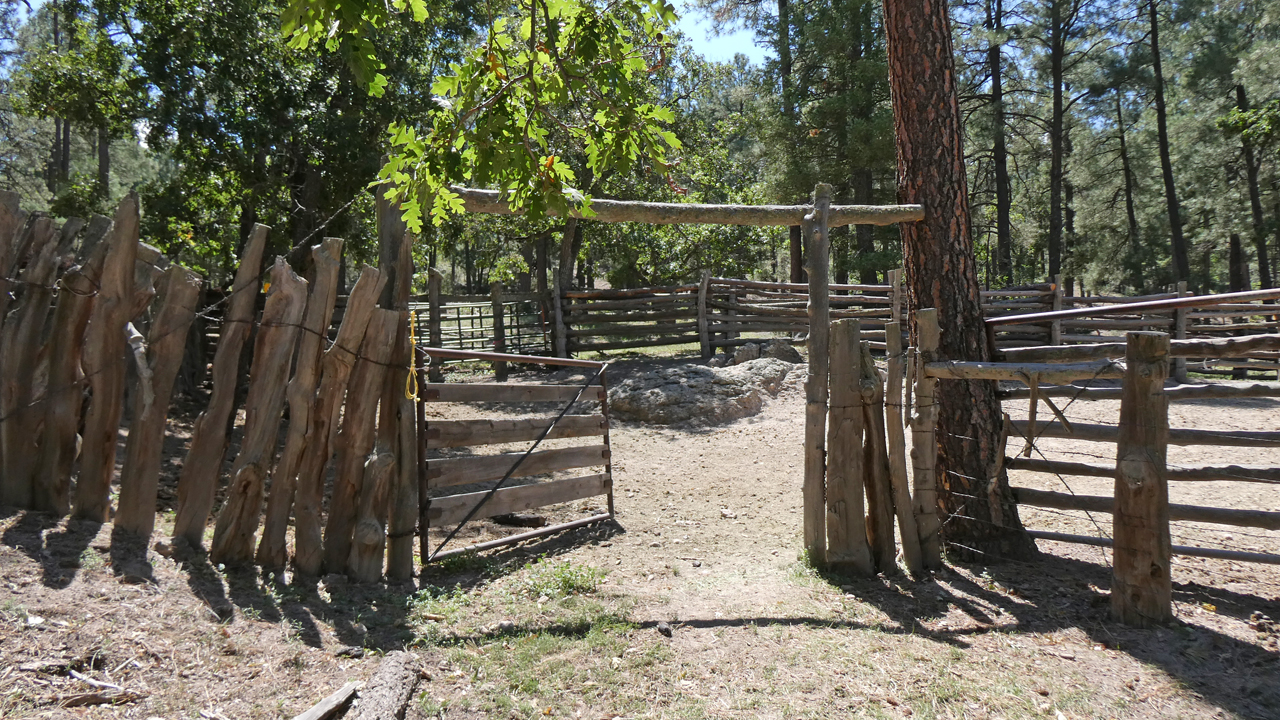 Sheep Corral gate