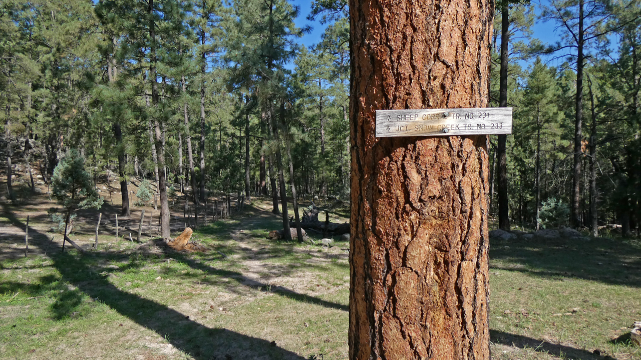 CDT trail sign