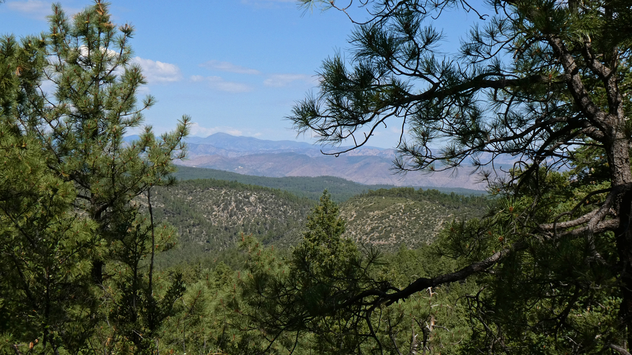 view north from the trail