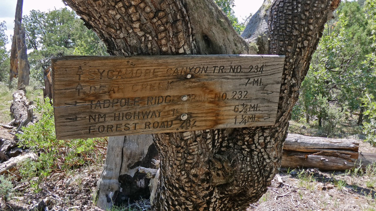 Tadpole Ridge trail sign