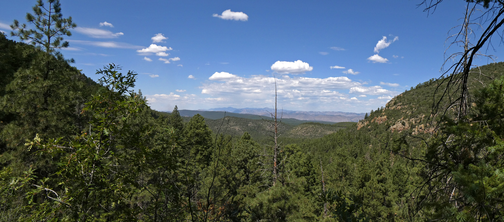 view from the saddle