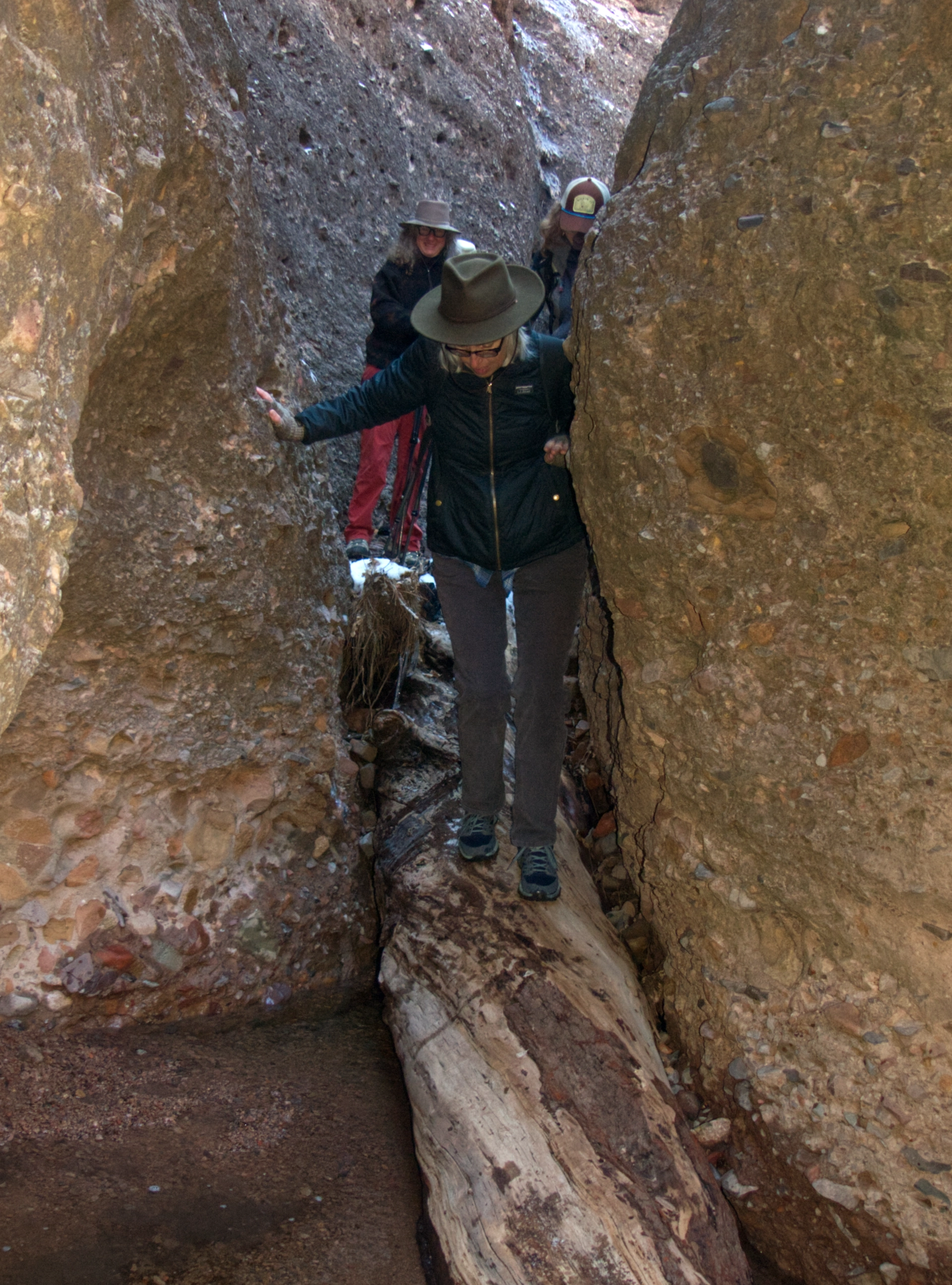 Sue, Debra and Havi on the icy log