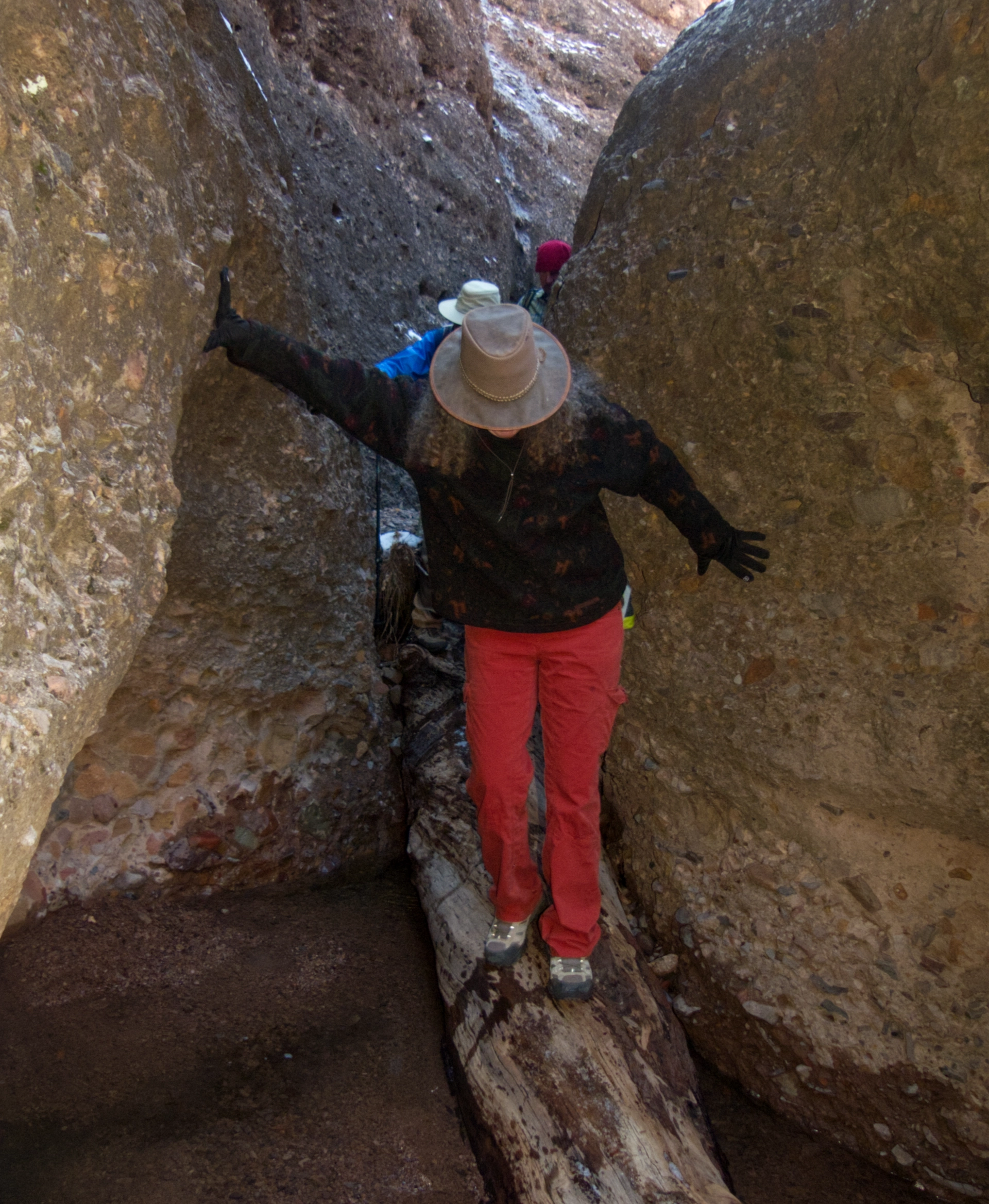 Debra on the icy log