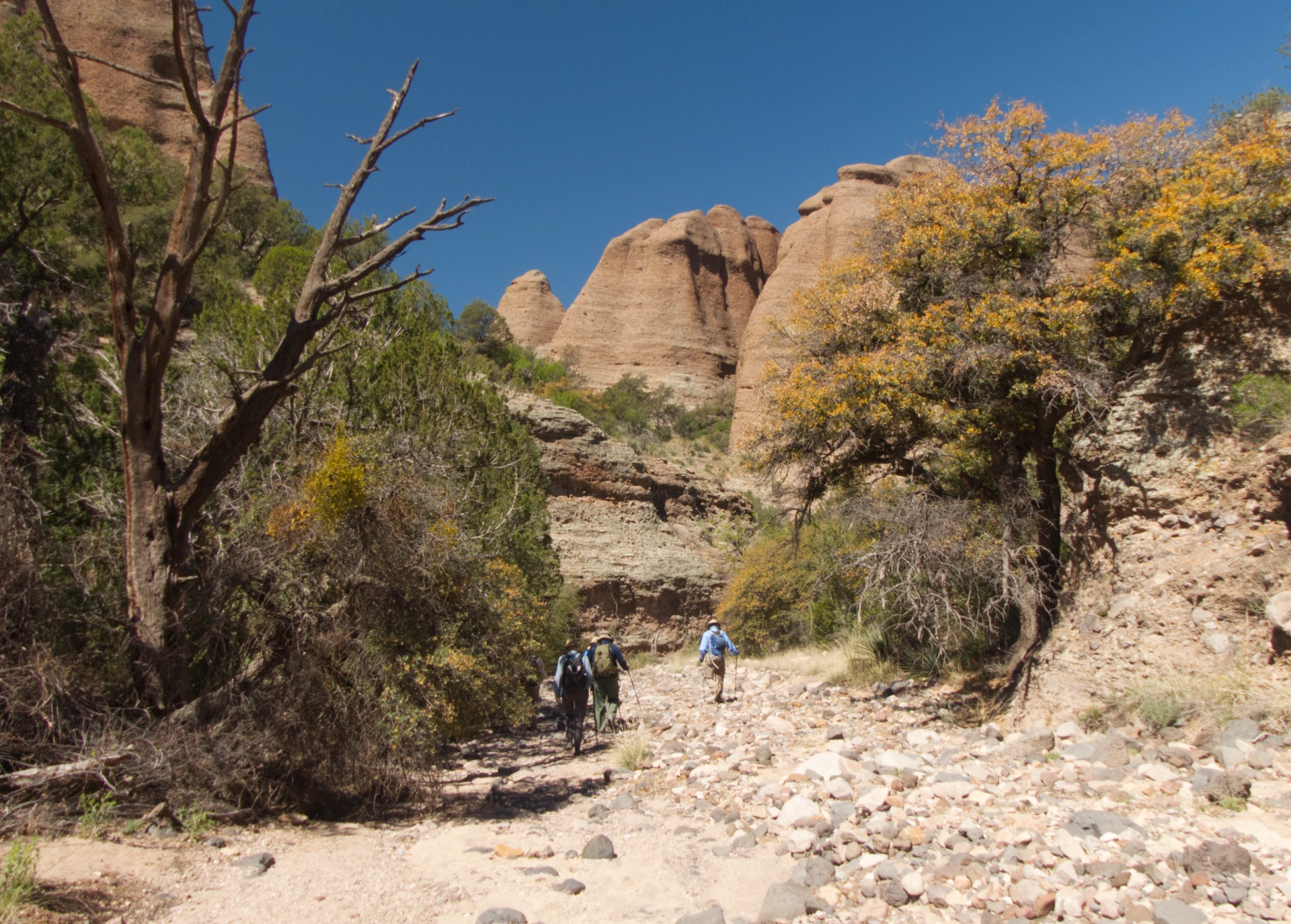 cliffs looming in distance