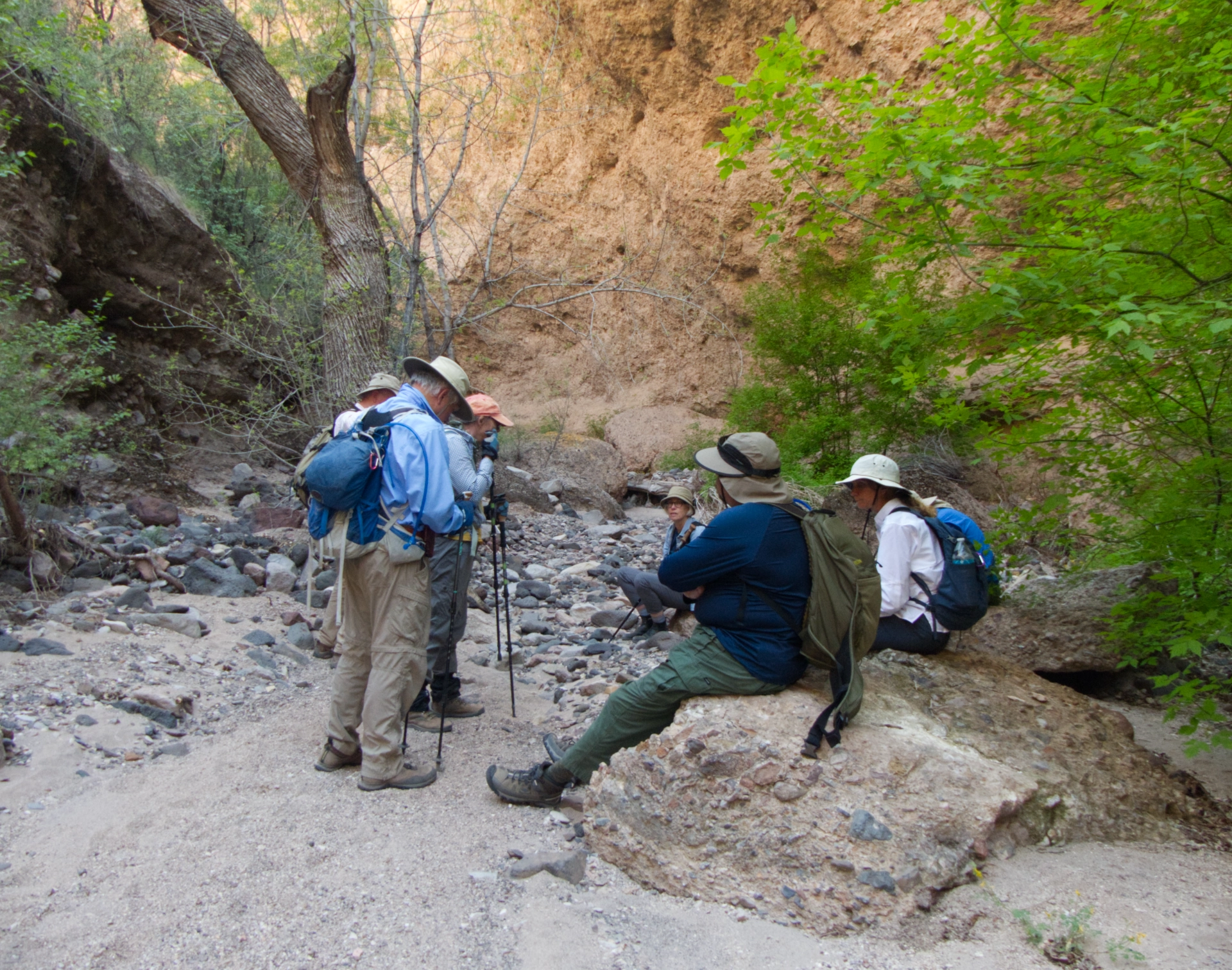 group resting in the shae