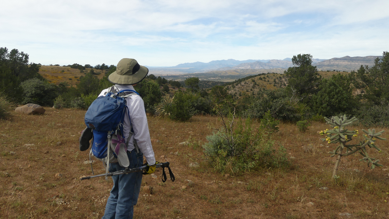 distant view of the pinos altos range