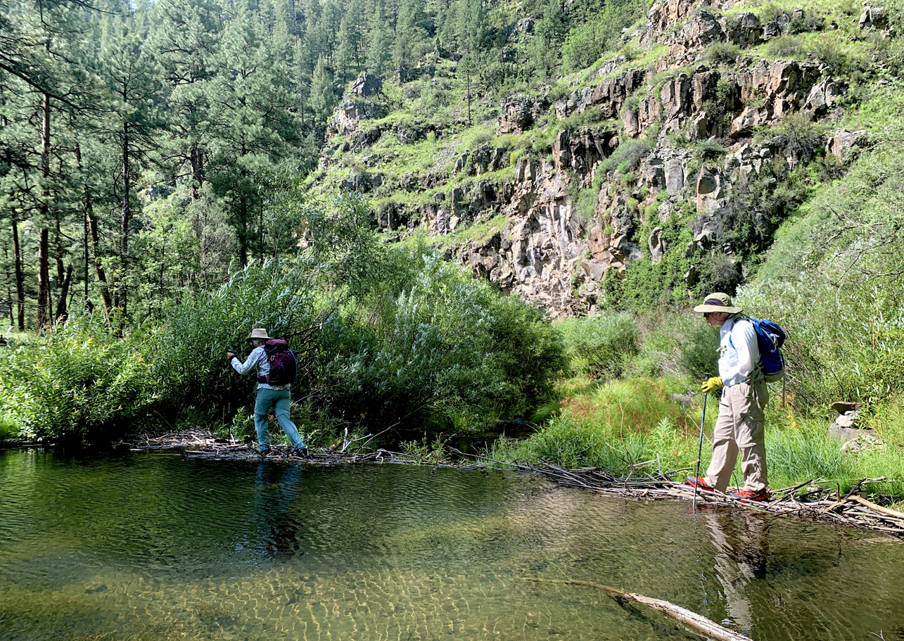 crossing a beaver dam