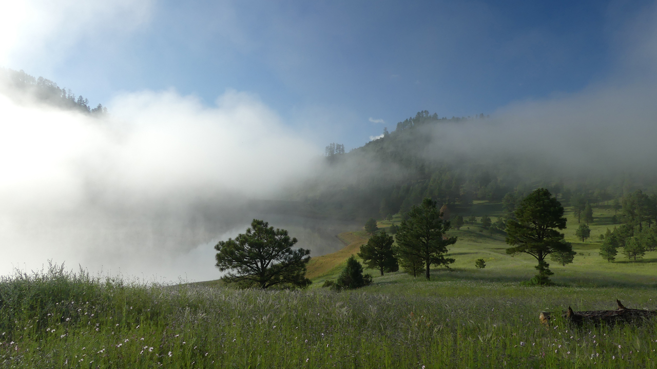 thick fog at Snow Lake