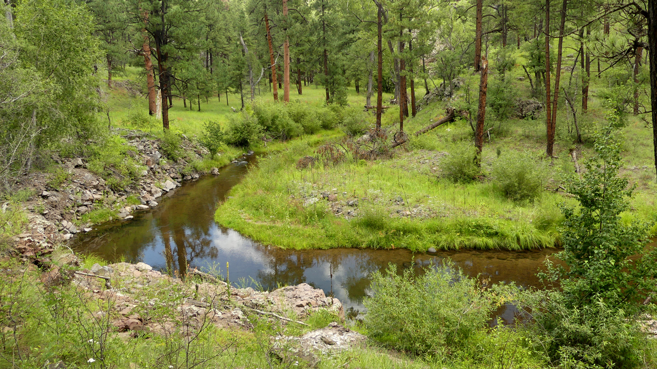 deep pool in the Middle Fork