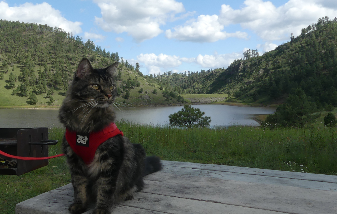 Elio at Snow Lake