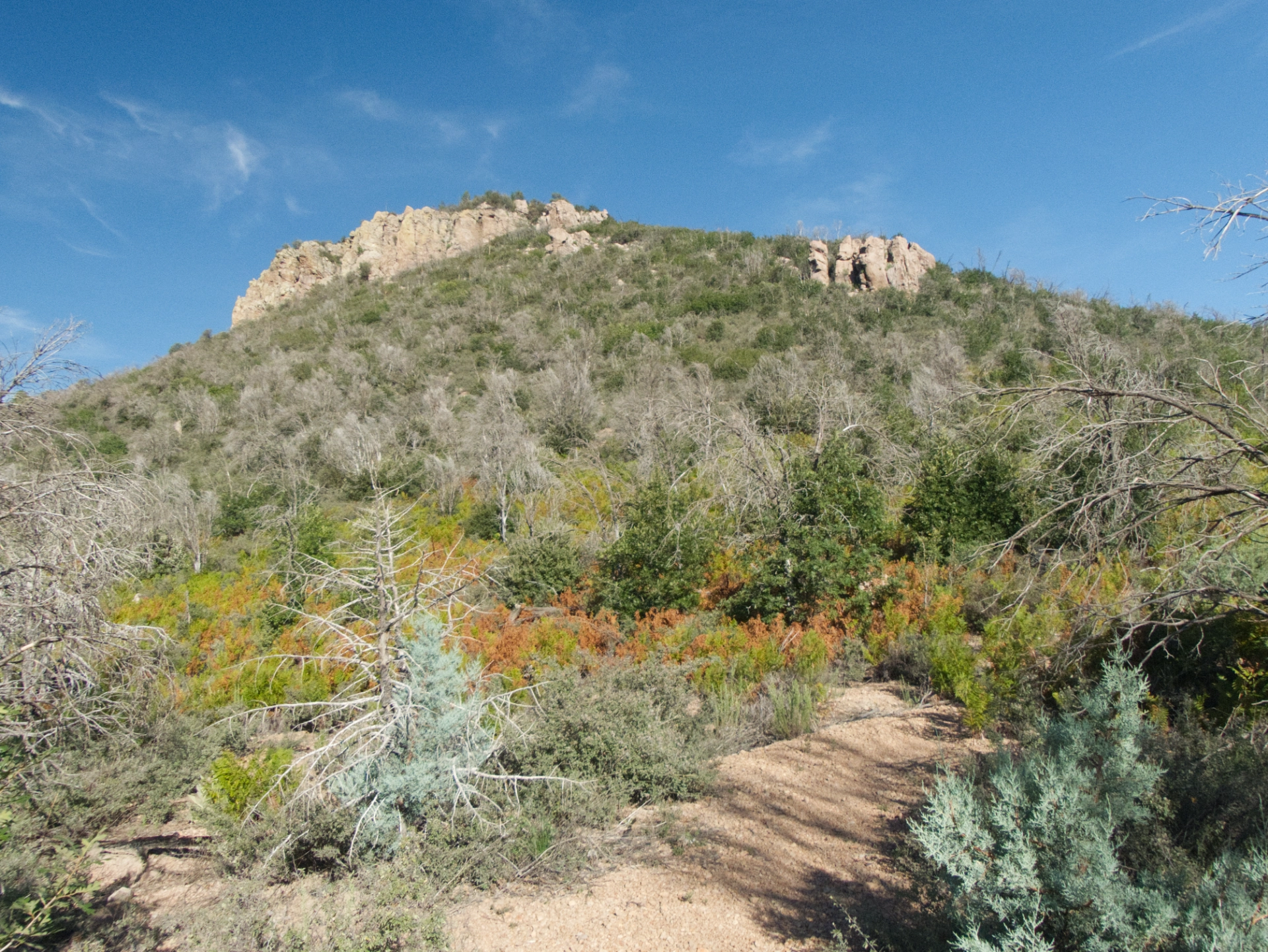 Scott Peak east slope
