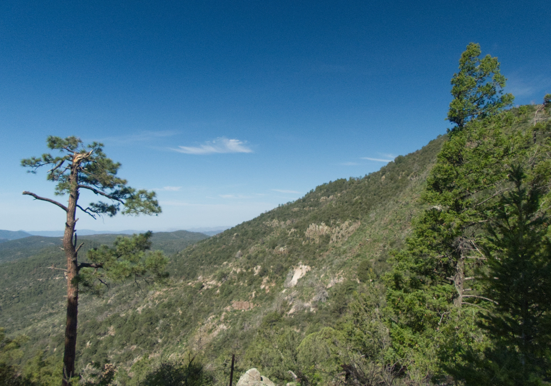 view to the west just below the top of the ridge