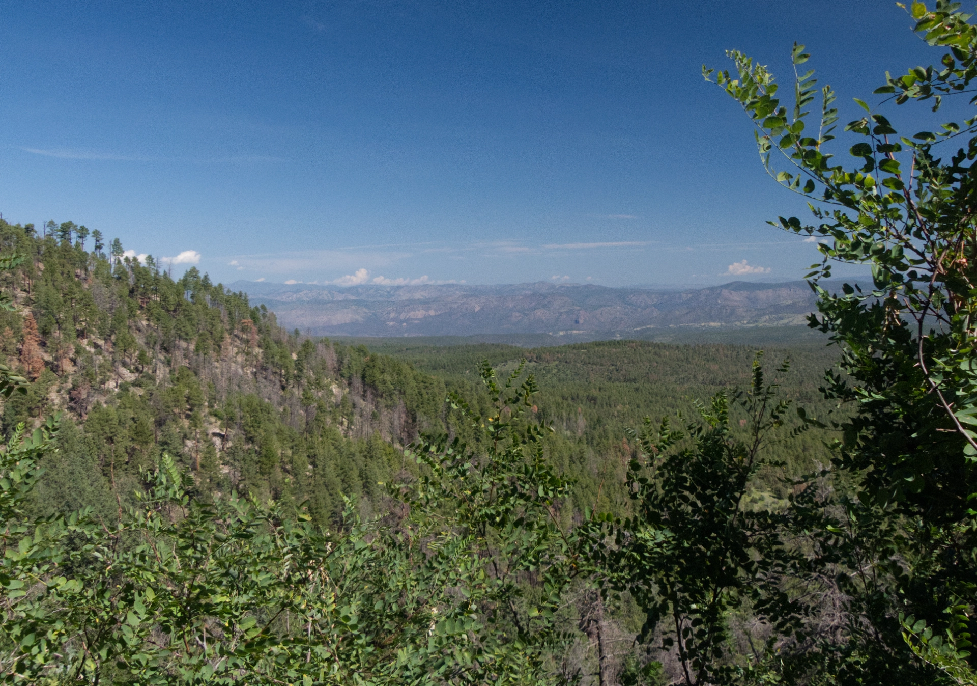 Mogollon Mountains