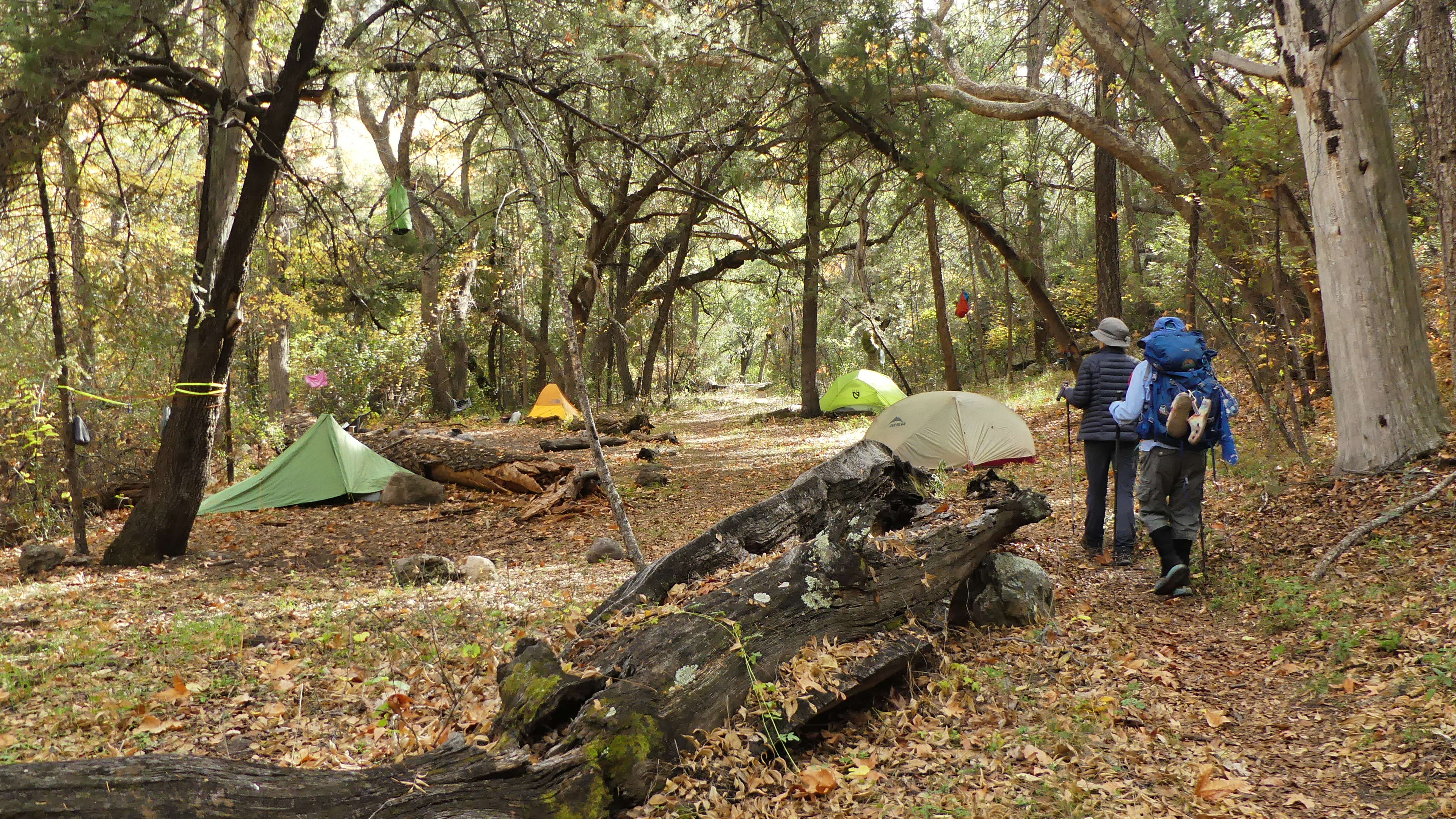 beautiful camping area near Skeleton Canyon