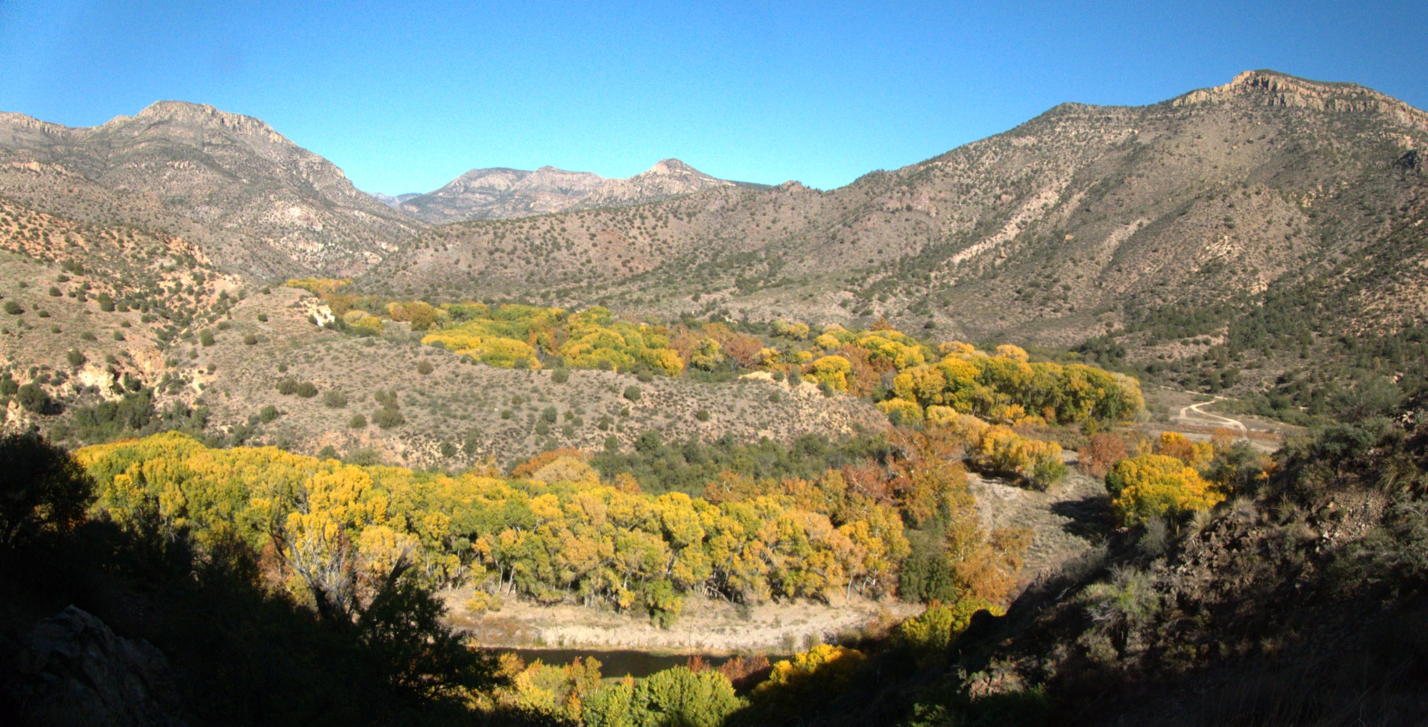 colorful fall foliage in the Gila River Valley