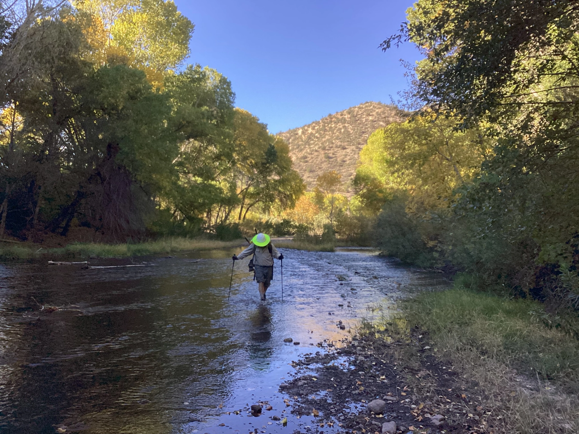 John wading across the Gila