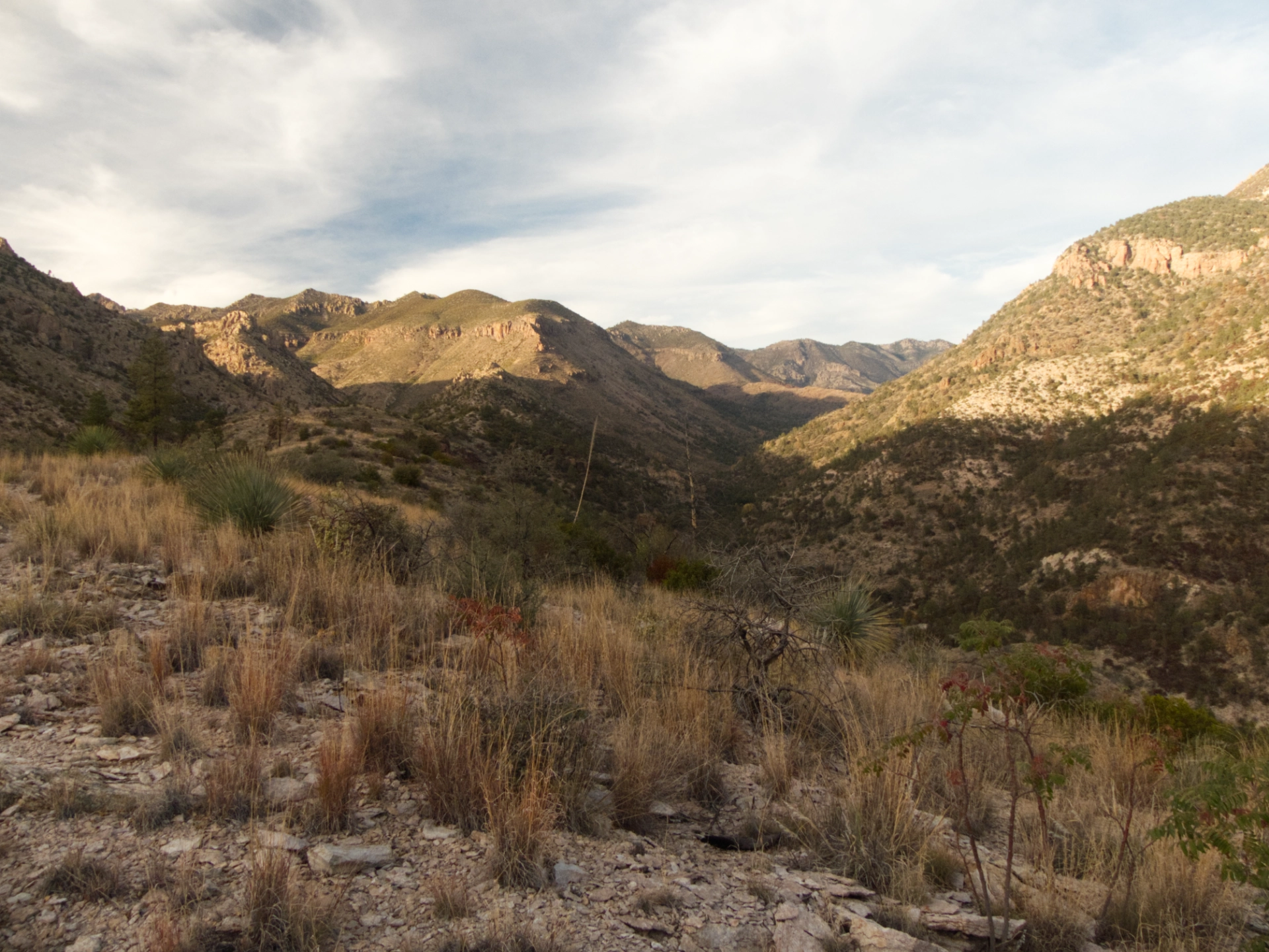 view across the Gila Wilderness