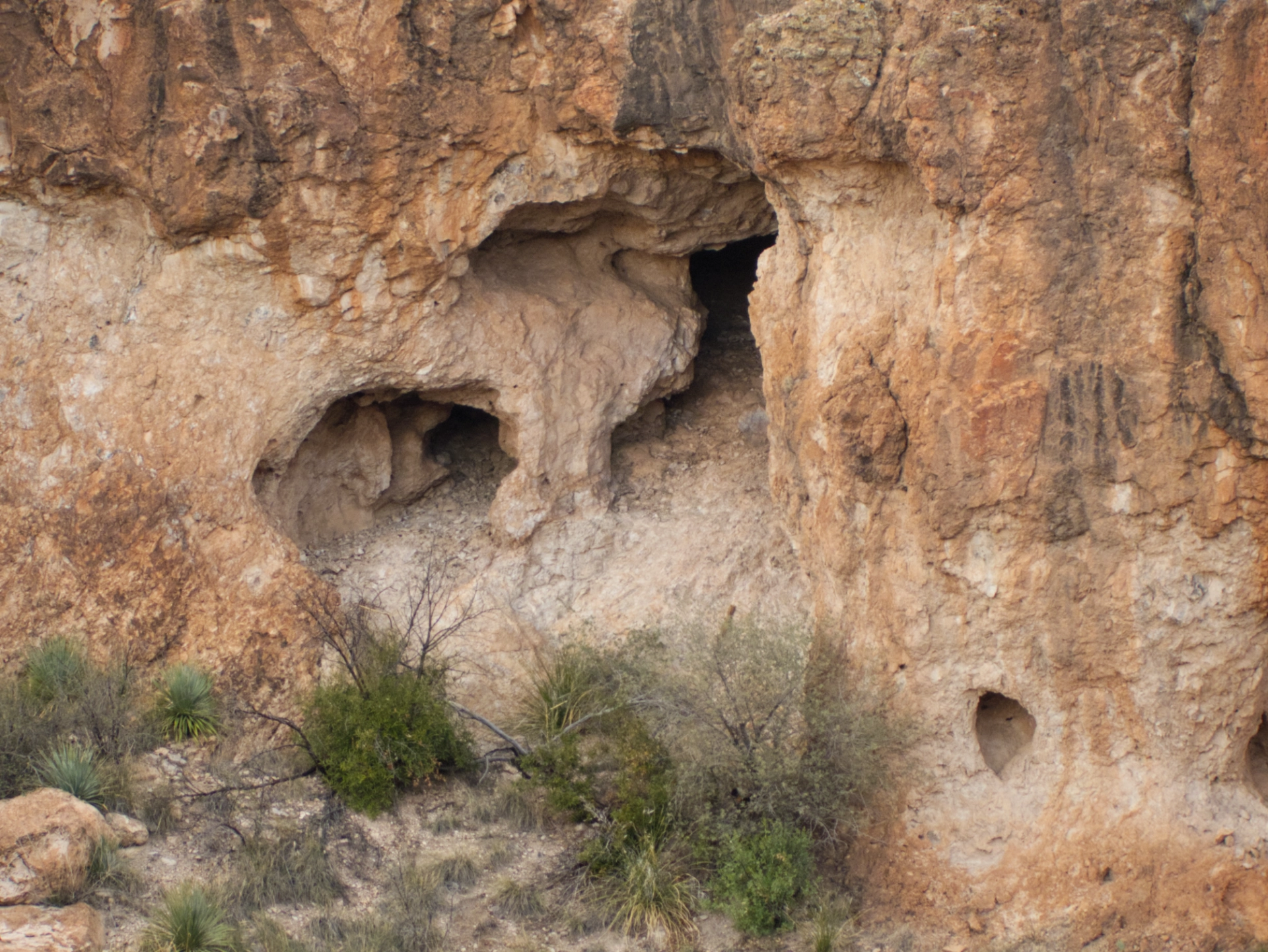 clos-up of honecombed ridge