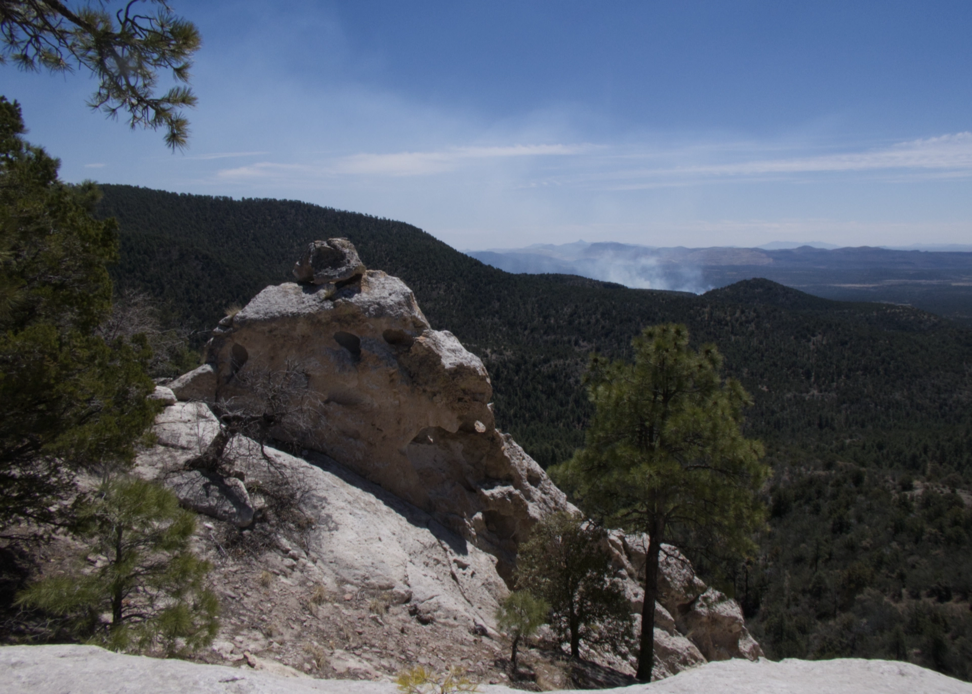 prescribed burn in the distance