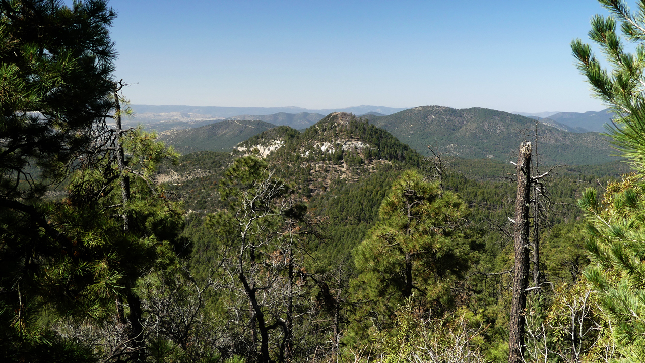 distant view of Twin Sisters