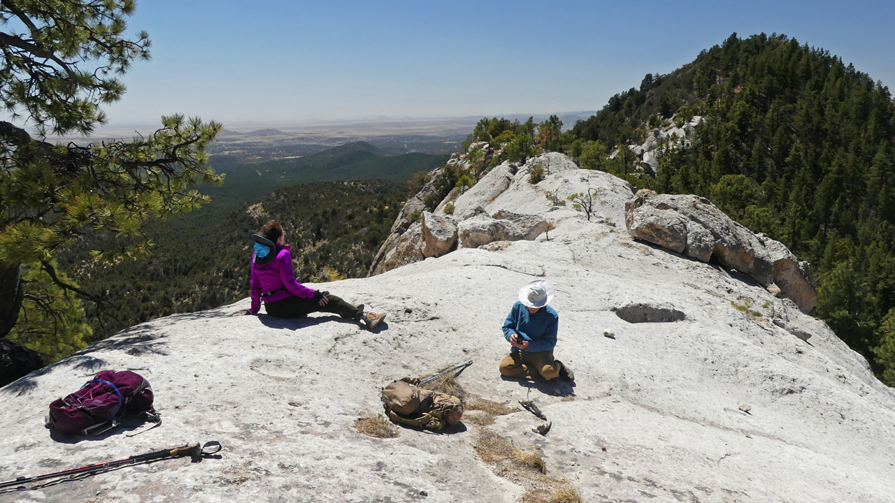 Overview of the ridge