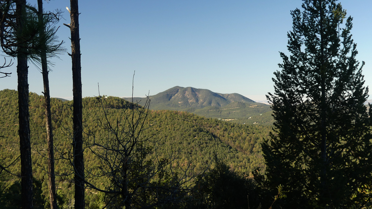 view of Bear Mountain