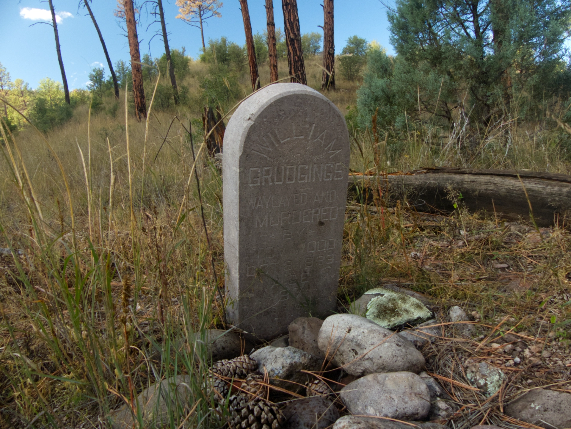 William Grudgings grave
