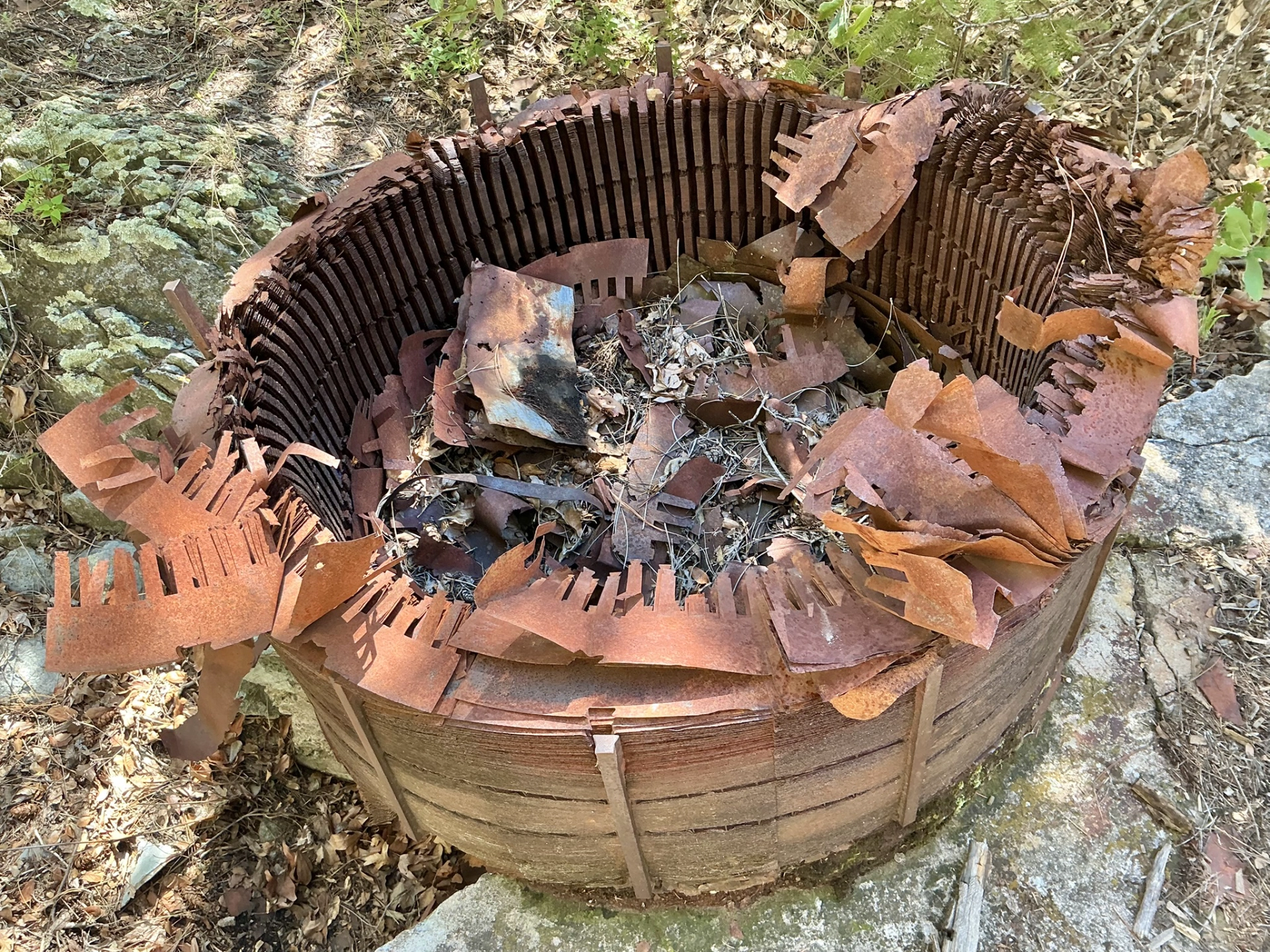 rusty stator