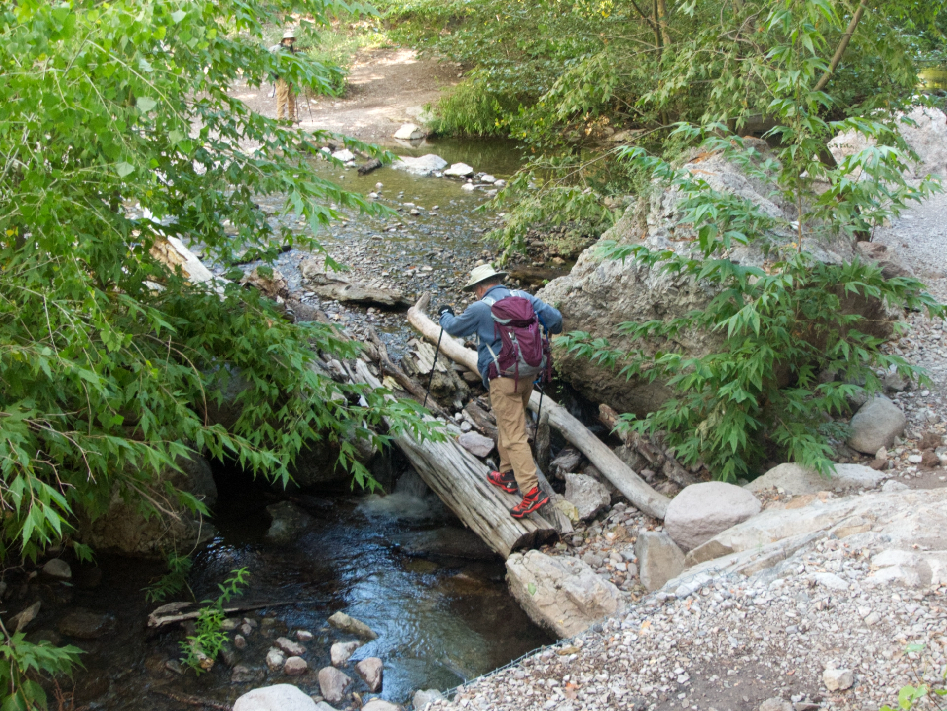 Dennis crossing the creek on a log