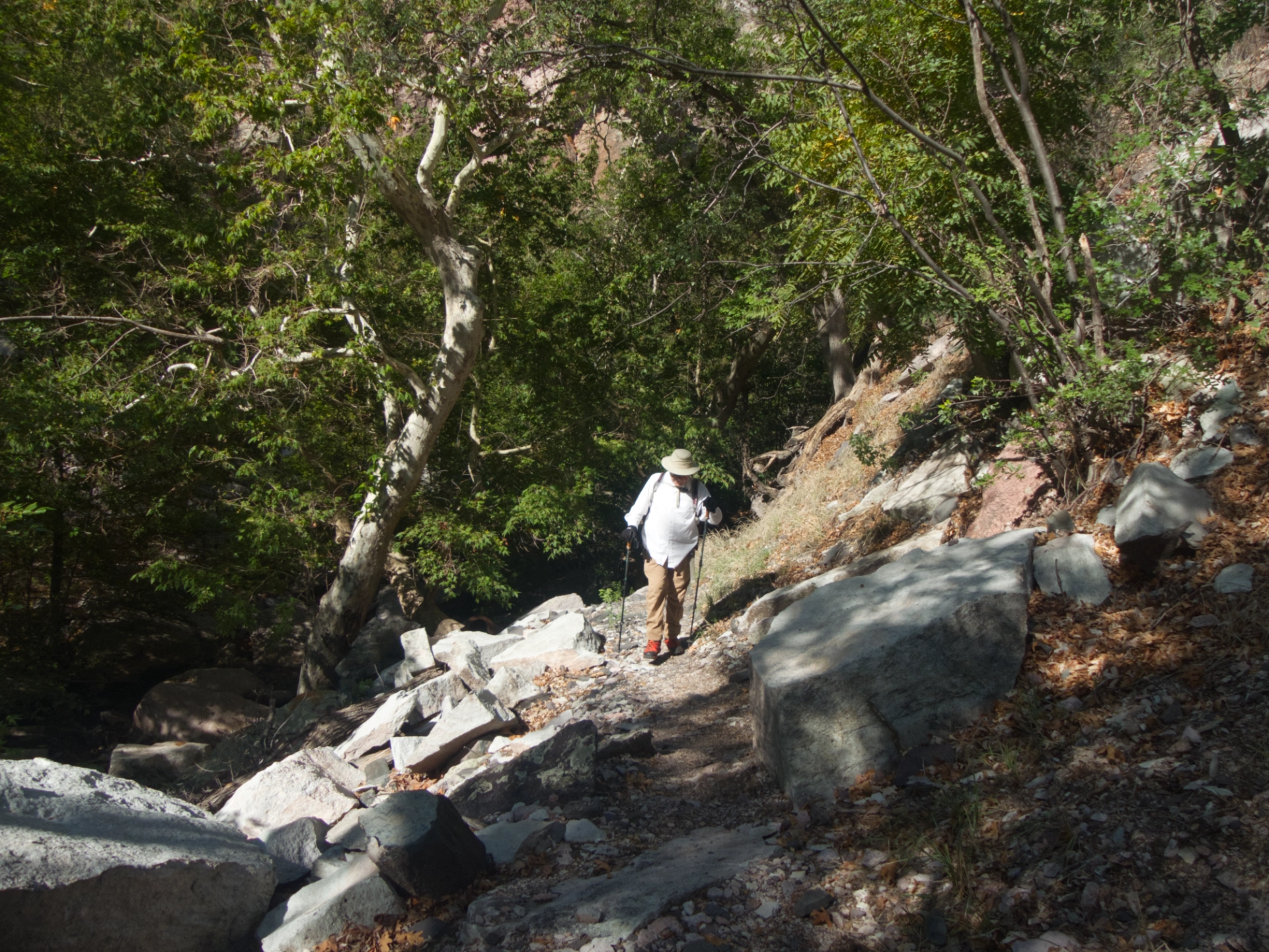 climbing out of Whitewater Creek